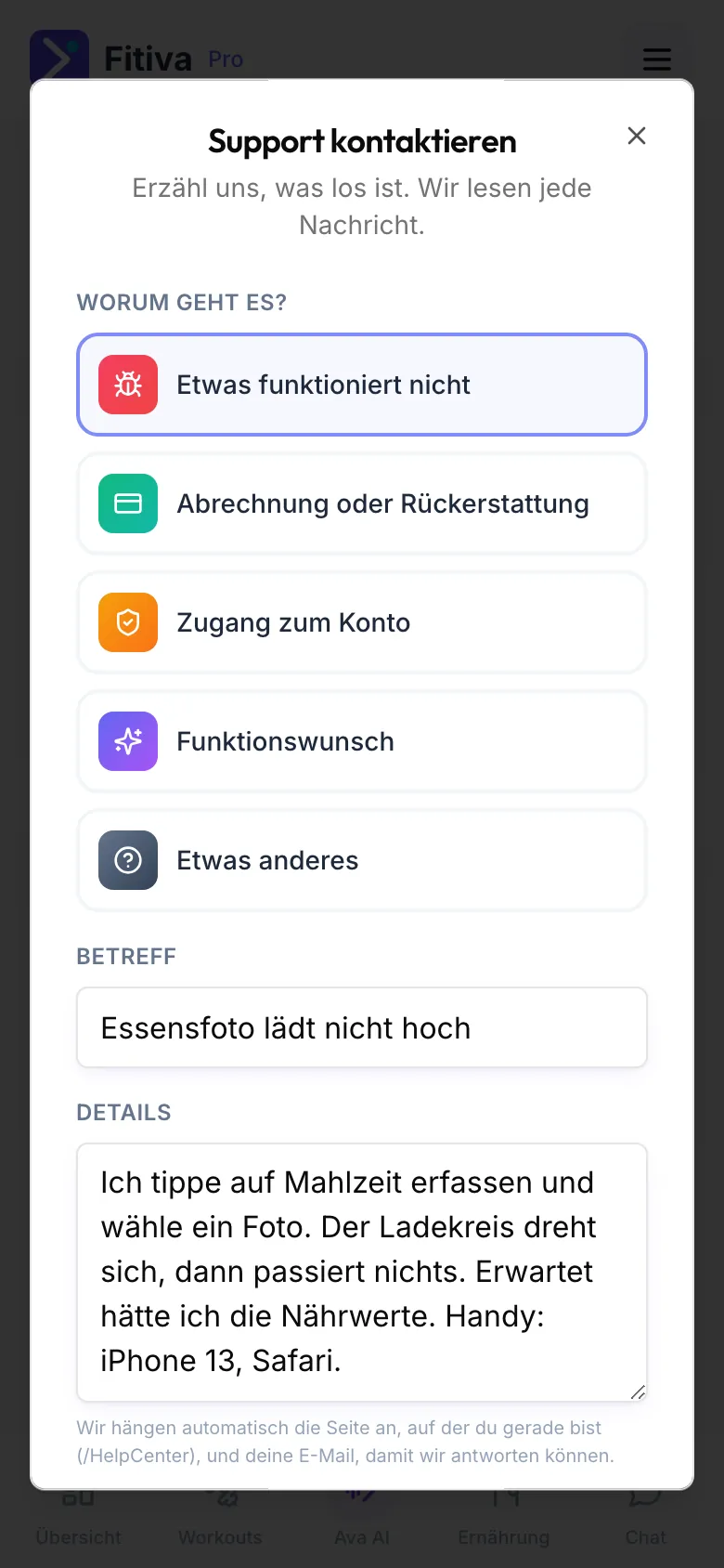 Fenster Support kontaktieren mit dem Thema Etwas funktioniert nicht, einem Beispielbetreff und Beispieldetails